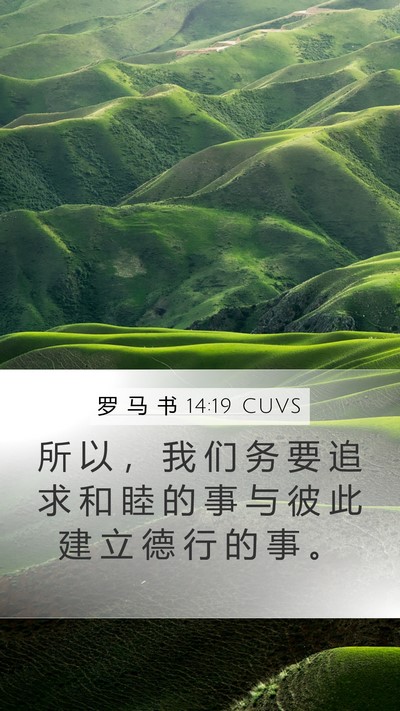 罗 马 书 14:19 CUVS Bible Verse Image