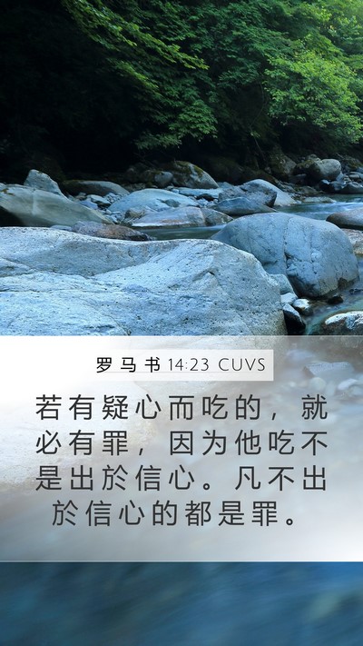 罗 马 书 14:23 CUVS Bible Verse Image