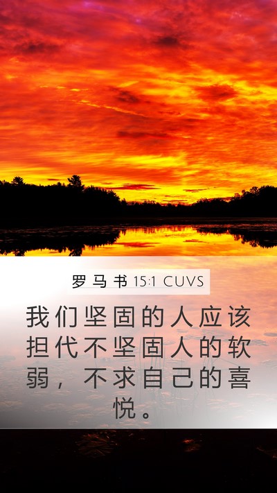 罗 马 书 15:1 CUVS Bible Verse Image