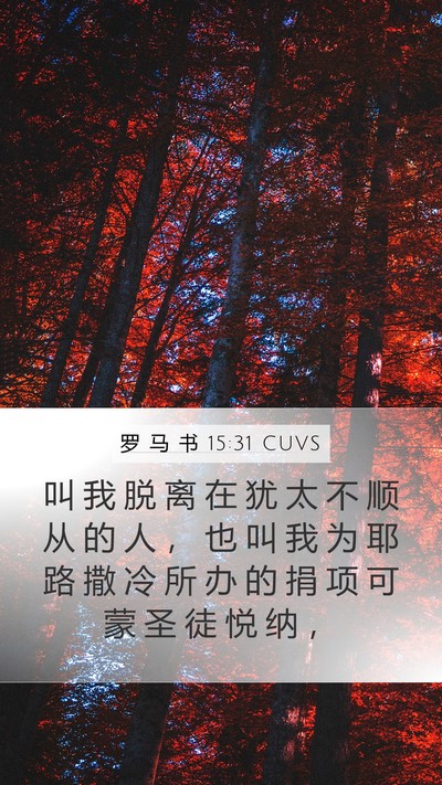 罗 马 书 15:31 CUVS Bible Verse Image
