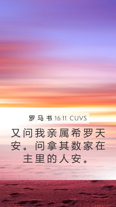 罗 马 书 16:11 CUVS Bible Verse Image