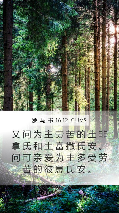 罗 马 书 16:12 CUVS Bible Verse Image