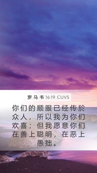 罗 马 书 16:19 CUVS Bible Verse Image