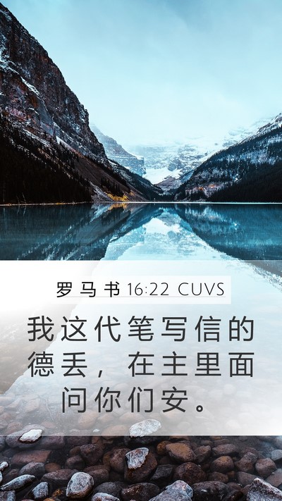 罗 马 书 16:22 CUVS Bible Verse Image