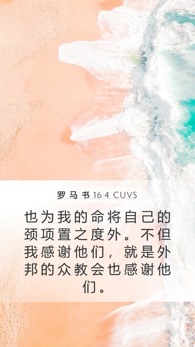 罗 马 书 16:4 CUVS Bible Verse Image