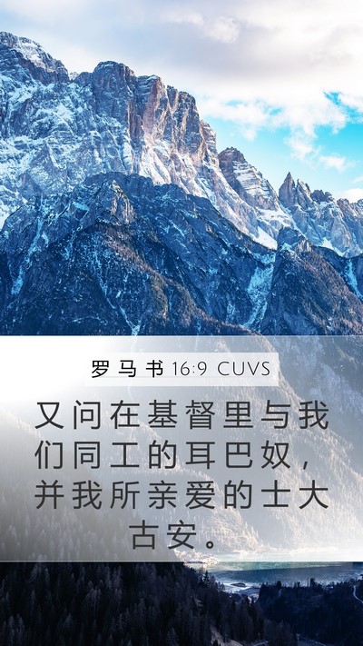 罗 马 书 16:9 CUVS Bible Verse Image