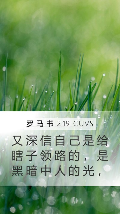 罗 马 书 2:19 CUVS Bible Verse Image