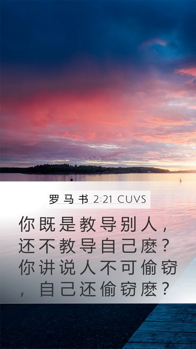 罗 马 书 2:21 CUVS Bible Verse Image
