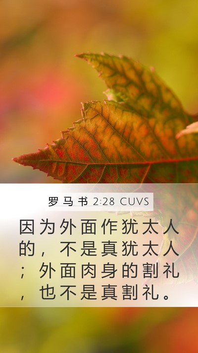 罗 马 书 2:28 CUVS Bible Verse Image