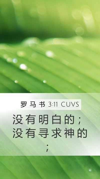 罗 马 书 3:11 CUVS Bible Verse Image