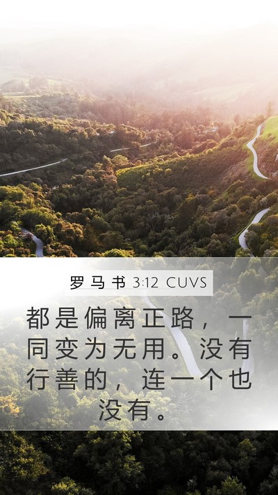 罗 马 书 3:12 CUVS Bible Verse Image