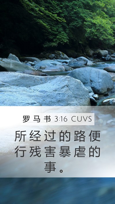 罗 马 书 3:16 CUVS Bible Verse Image