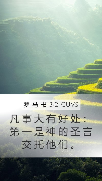 罗 马 书 3:2 CUVS Bible Verse Image