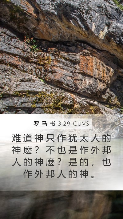 罗 马 书 3:29 CUVS Bible Verse Image