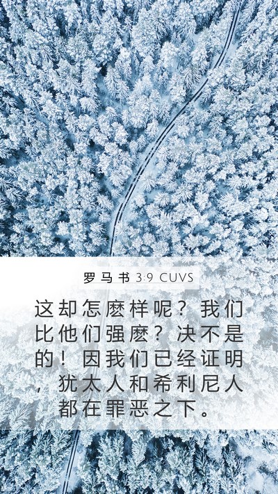 罗 马 书 3:9 CUVS Bible Verse Image