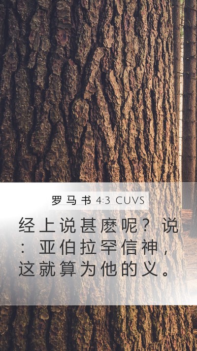罗 马 书 4:3 CUVS Bible Verse Image