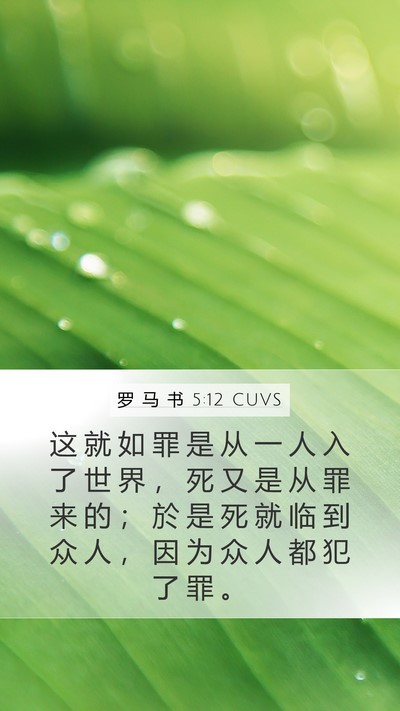 罗 马 书 5:12 CUVS Bible Verse Image