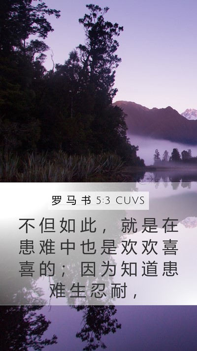 罗 马 书 5:3 CUVS Bible Verse Image