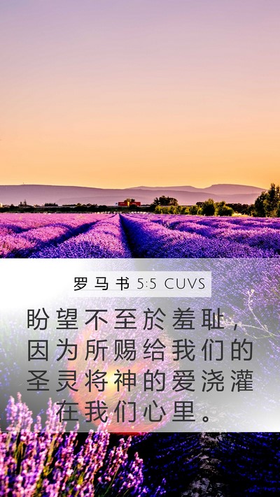 罗 马 书 5:5 CUVS Bible Verse Image