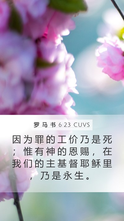 罗 马 书 6:23 CUVS Bible Verse Image