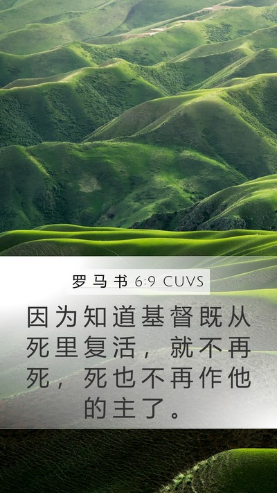 罗 马 书 6:9 CUVS Bible Verse Image