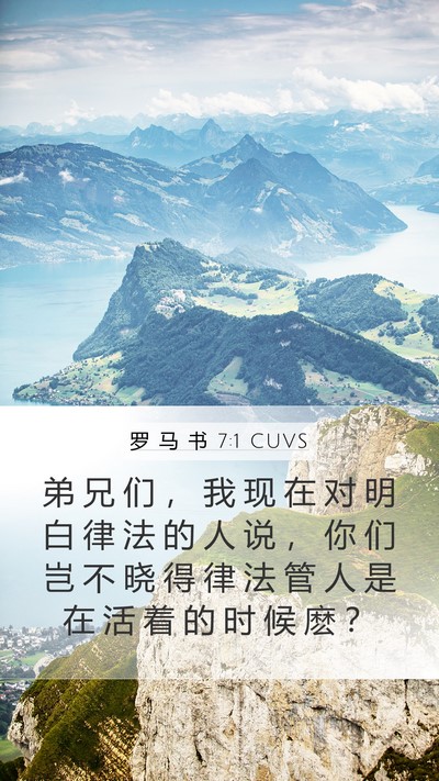 罗 马 书 7:1 CUVS Bible Verse Image