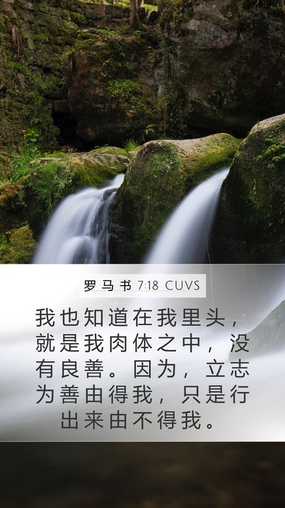 罗 马 书 7:18 CUVS Mobile Phone Wallpaper - 我 也 知 道 在 我 里 头 ， 就 是 我 - Mobile Bible Verse Wallpaper