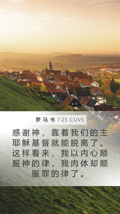 罗 马 书 7:25 CUVS Bible Verse Image