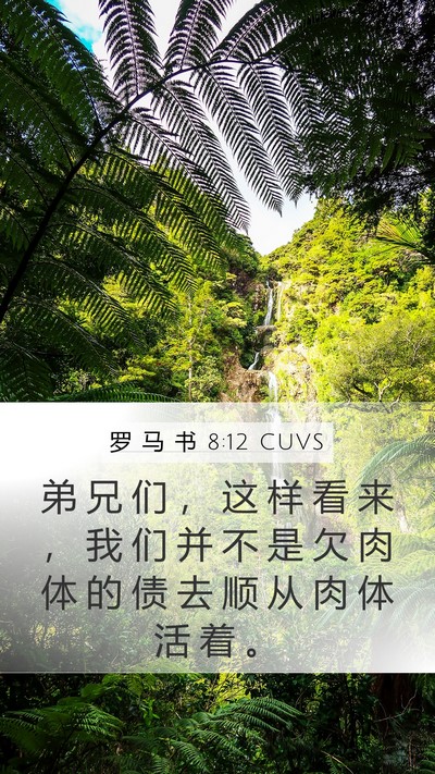 罗 马 书 8:12 CUVS Bible Verse Image