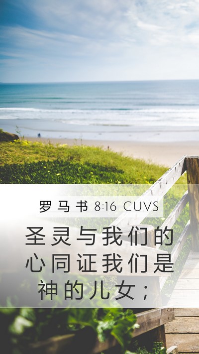 罗 马 书 8:16 CUVS Bible Verse Image