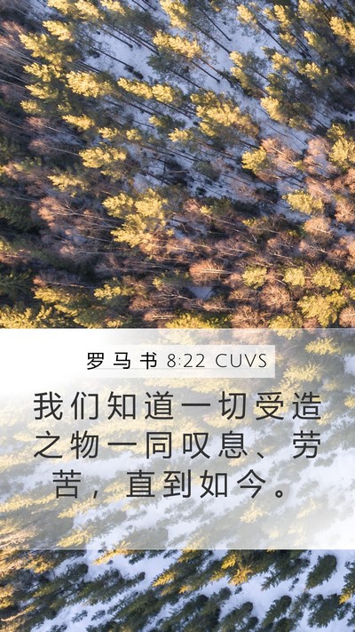 罗 马 书 8:22 CUVS Bible Verse Image