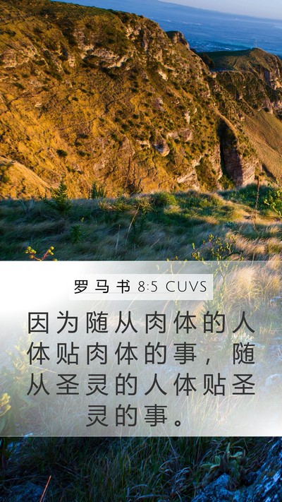 罗 马 书 8:5 CUVS Bible Verse Image