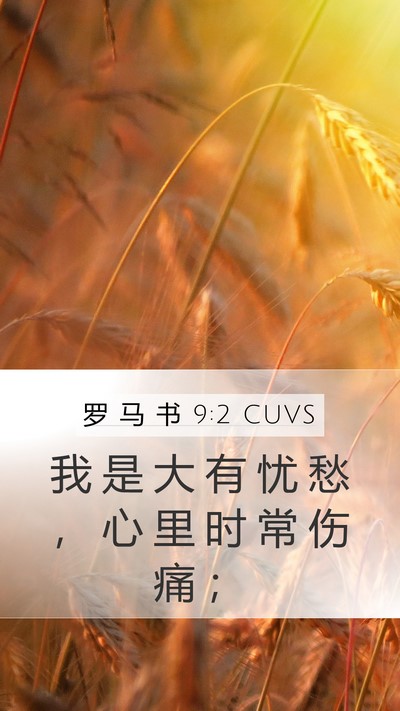罗 马 书 9:2 CUVS Bible Verse Image