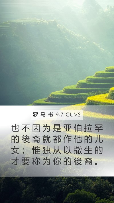 罗 马 书 9:7 CUVS Bible Verse Image