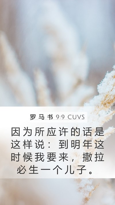 罗 马 书 9:9 CUVS Bible Verse Image