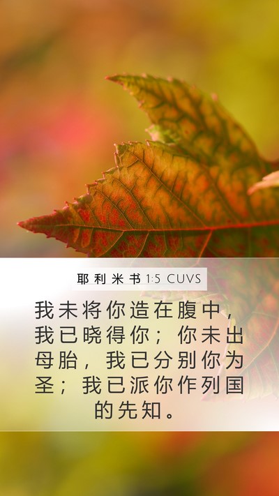 耶 利 米 书 1:5 CUVS Bible Verse Image