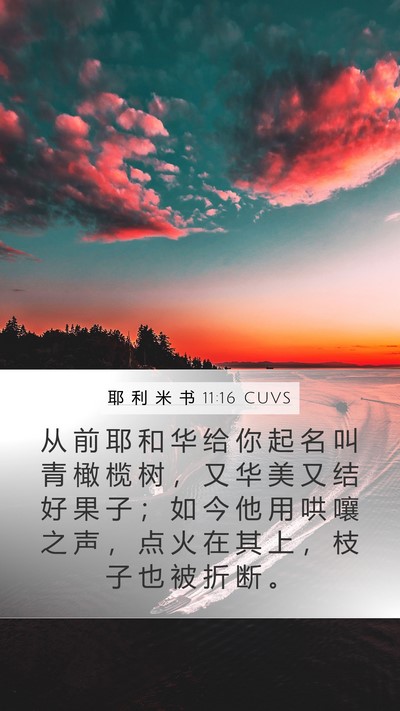 耶 利 米 书 11:16 CUVS Bible Verse Image