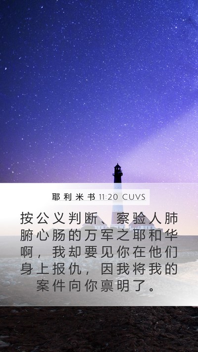 耶 利 米 书 11:20 CUVS Bible Verse Image