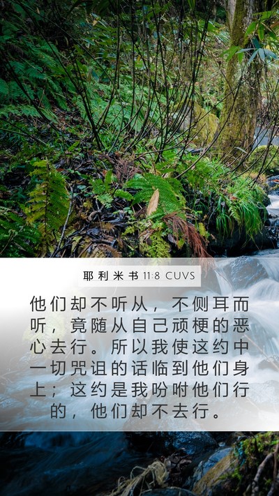 耶 利 米 书 11:8 CUVS Bible Verse Image