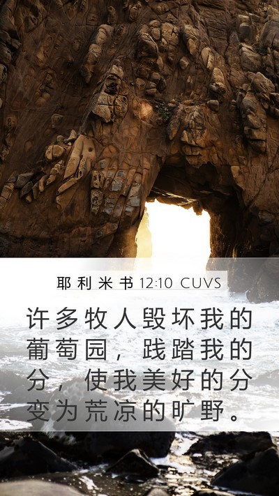耶 利 米 书 12:10 CUVS Bible Verse Image