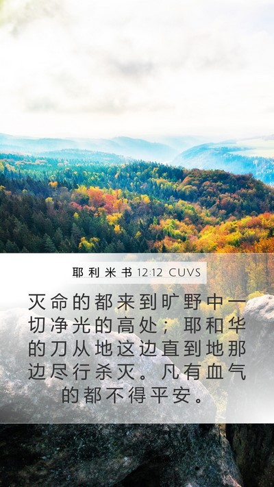 耶 利 米 书 12:12 CUVS Bible Verse Image