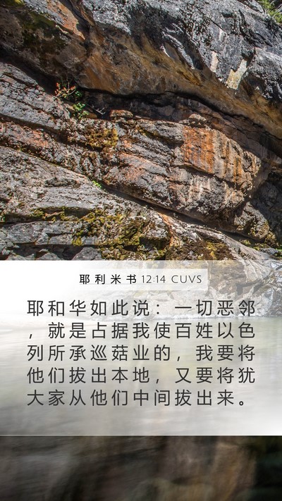 耶 利 米 书 12:14 CUVS Bible Verse Image