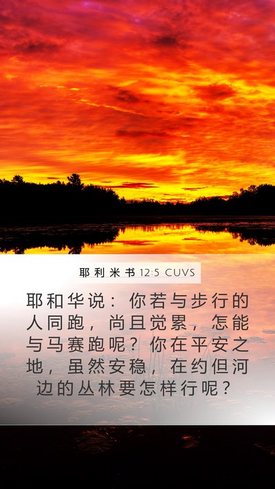 耶 利 米 书 12:5 CUVS Bible Verse Image
