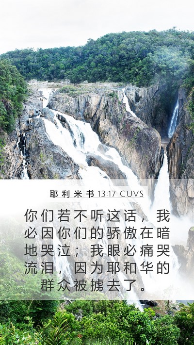 耶 利 米 书 13:17 CUVS Bible Verse Image