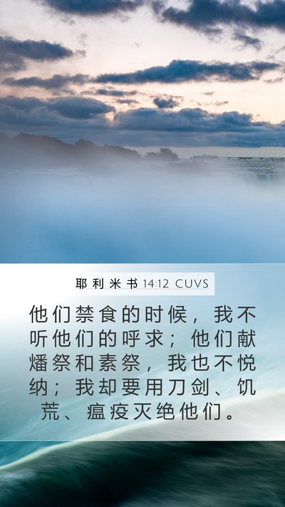 耶 利 米 书 14:12 CUVS Bible Verse Image