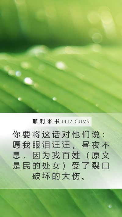 耶 利 米 书 14:17 CUVS Bible Verse Image