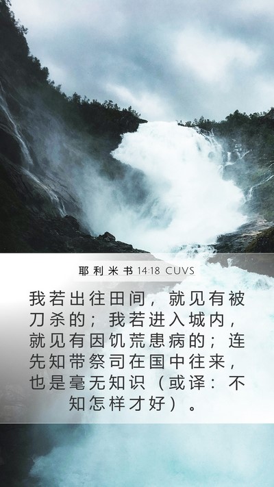 耶 利 米 书 14:18 CUVS Bible Verse Image