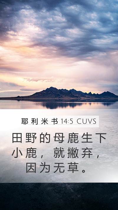 耶 利 米 书 14:5 CUVS Bible Verse Image