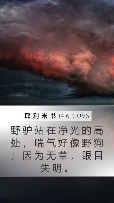 耶 利 米 书 14:6 CUVS Bible Verse Image