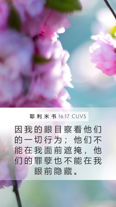 耶 利 米 书 16:17 CUVS Bible Verse Image